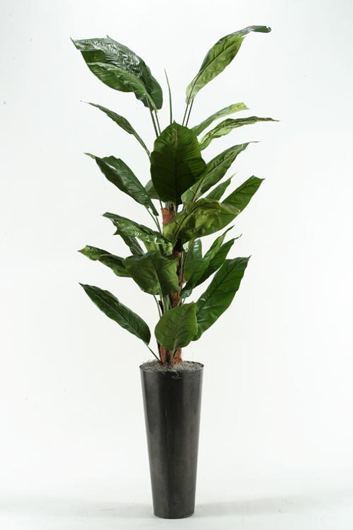 7' Spath Tree In Tall Round Metal Planter 116052 By DW Silks