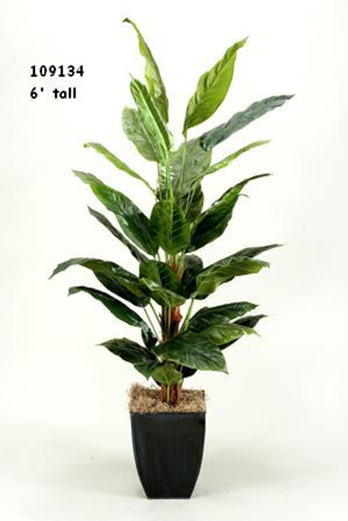 6' Spath Plant In Square Metal Planter 109134 By DW Silks