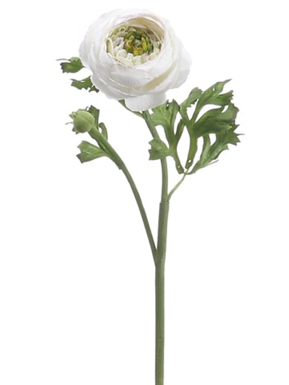 13" Ranunculus Spray Cream Burgundy (Pack Of 12) HSR600-CR/BU By Silk Flower