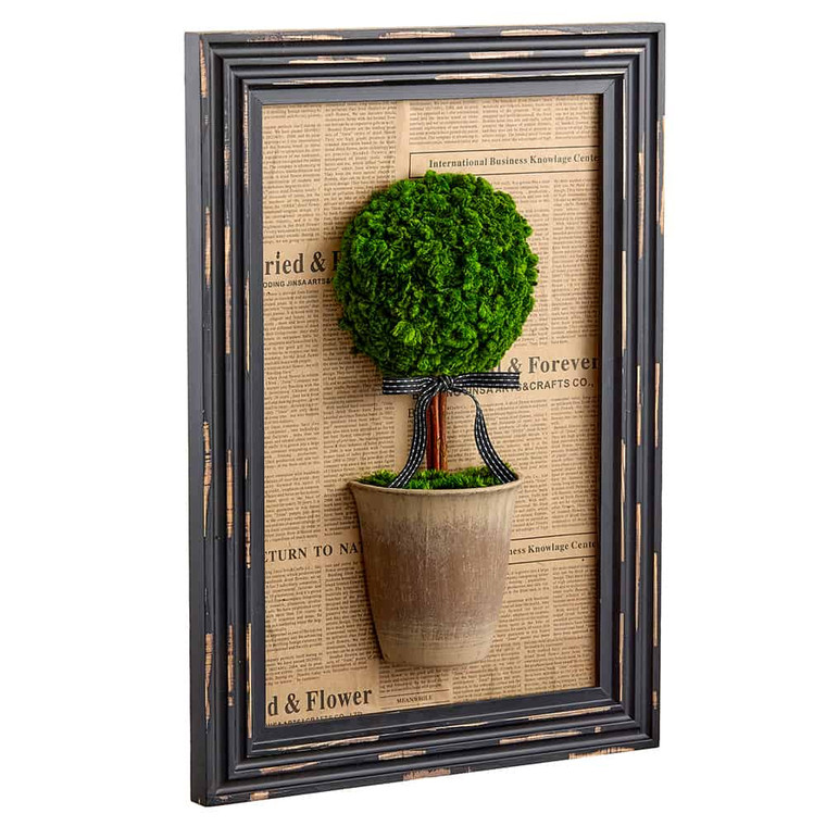 12.5"W X 17.7"L Preserved Celosia Ball Topiary Wall Decor Green Brown KZC535-GR/BR By Silk Flower