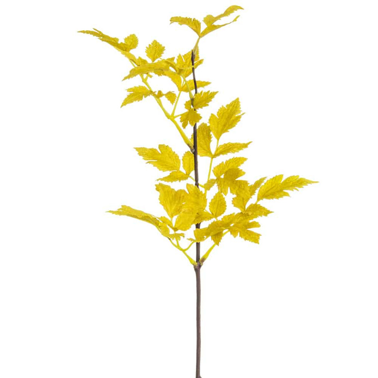 19" Cimicifuga Ramosa Leaf Spray Yellow Mustard (Pack Of 12) PSC619-YE/MD By Silk Flower