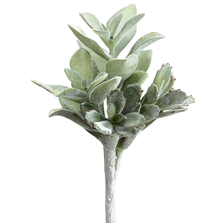 9" Soft Touch Kalanchoe Pick Two Tone Green (Pack Of 12) CK0007-GR/TT By Silk Flower
