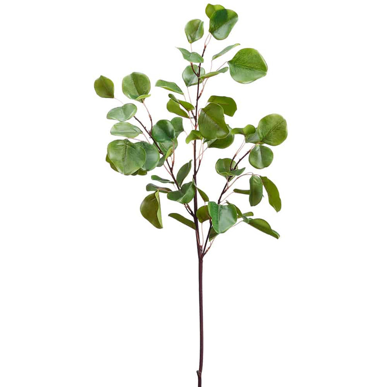36" Eucalyptus Branch X3 Green (Pack Of 12) PSE603-GR By Silk Flower