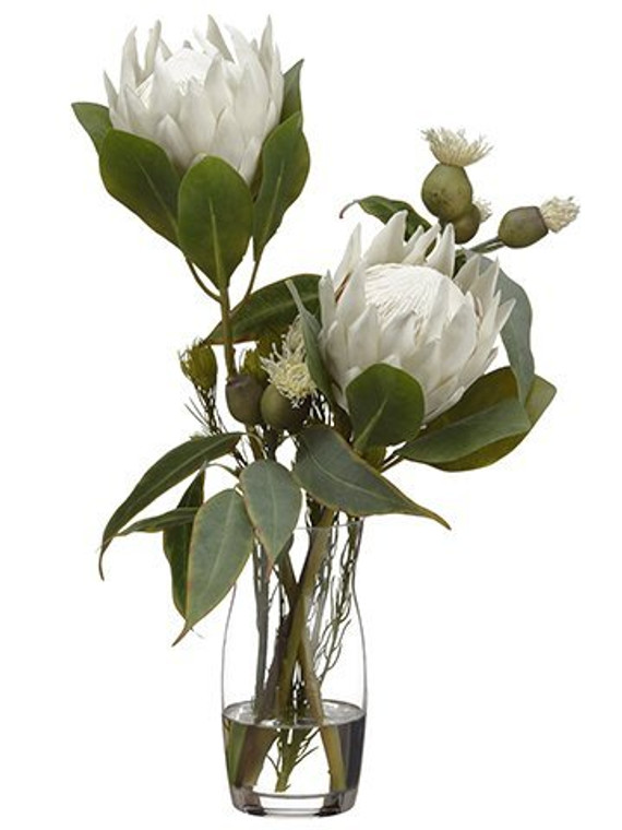 22"H X 12"W X 13"L Protea/Eucalyptus/Wolly In Vase Cream WF9815-CR/GR By Silk Flower