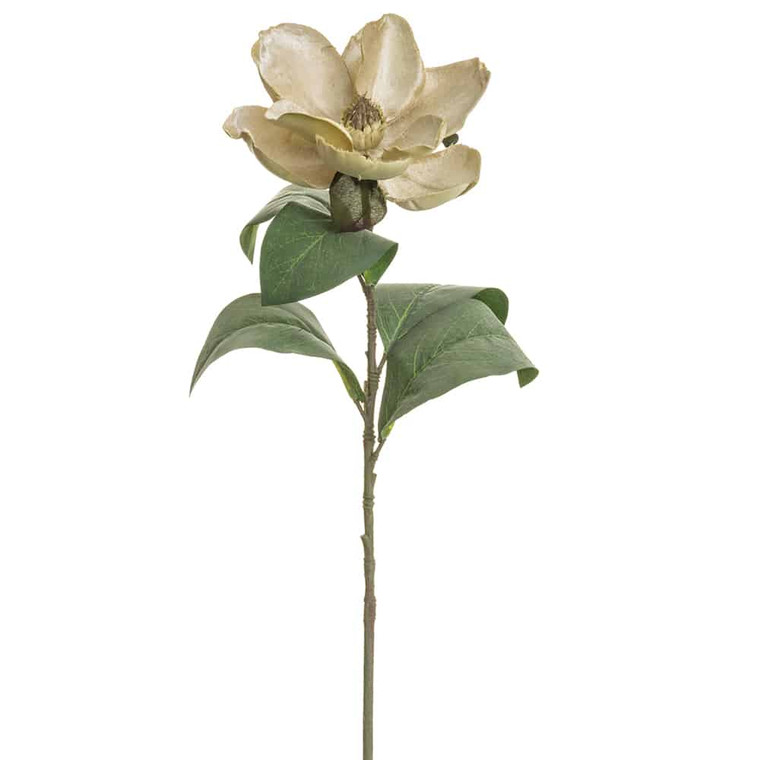 29.5" Velvet Magnolia Spray Vanilla Gold (Pack Of 12) XFS263-VA/GO By Silk Flower