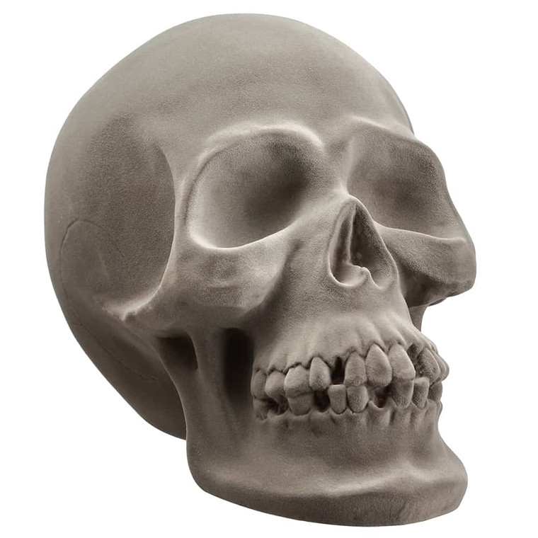 7.25" Skull Gray (Pack Of 2) AFZ508-GY By Silk Flower