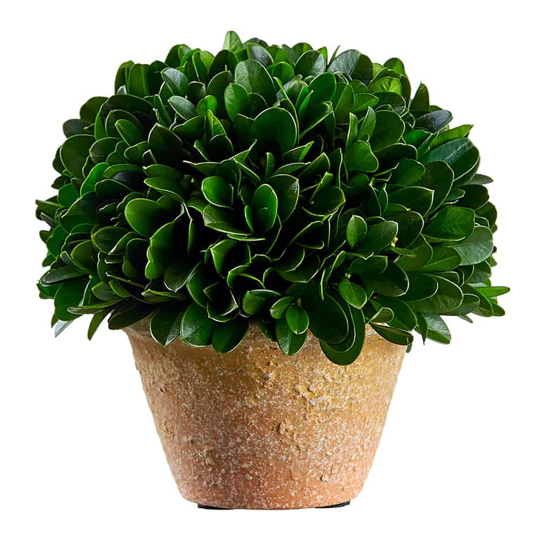 4" Preserved Boxwood Ball Topiary In Clay Pot Green (Pack Of 6) KPB123-GR By Silk Flower
