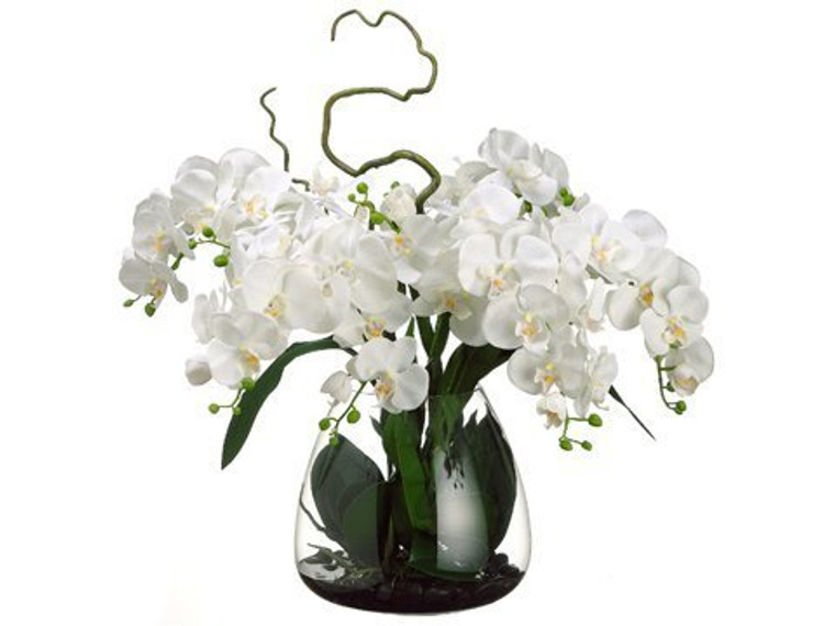26"H X 28"W X 28"L Phalaenopsis Orchid In Glass Vase Cream WF1157-CR By Silk Flower