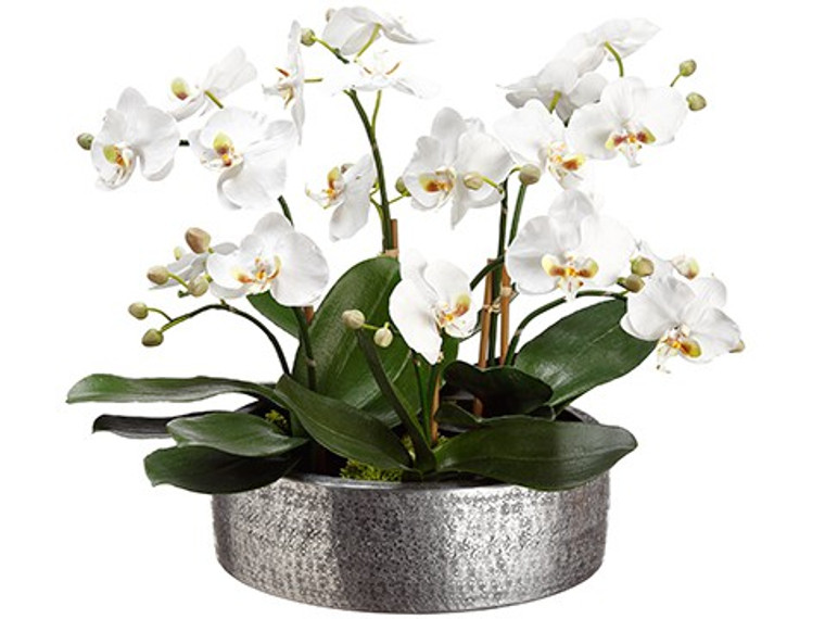 16"H X 17"W X 19"L Phalaenopsis In Aluminum Planter White WF1863-WH By Silk Flower