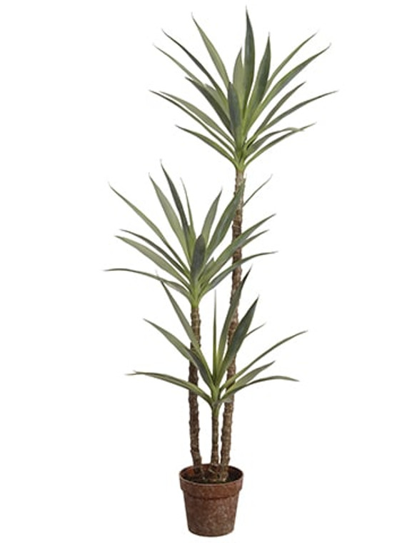 59" Yucca Tree In Plastic Nursery Pot Green (Pack Of 2) LPY461-GR By Silk Flower