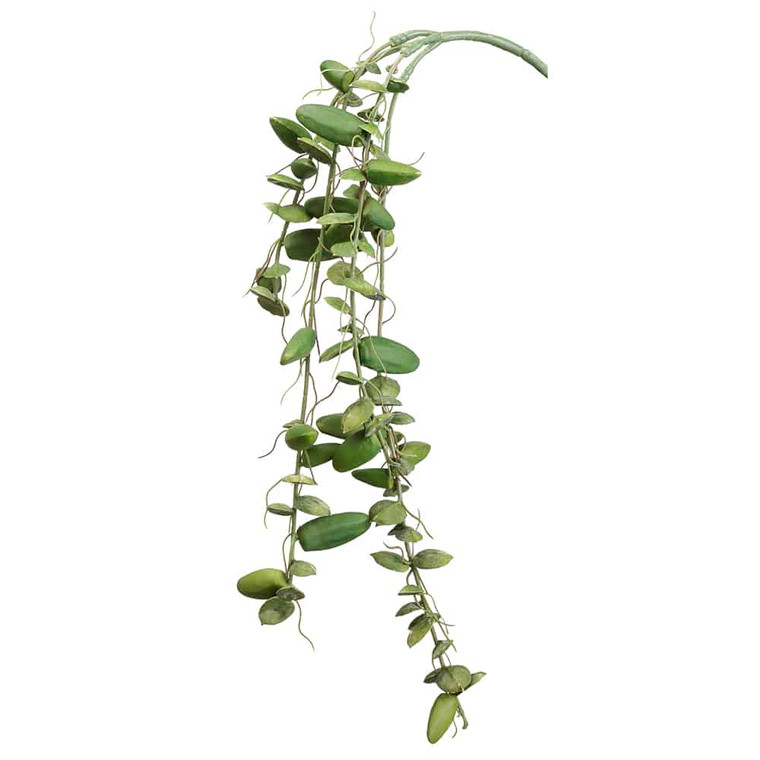 24"Soft Touch Dischidia Hanging Spray Green (Pack Of 12) CD0215-GR By Silk Flower