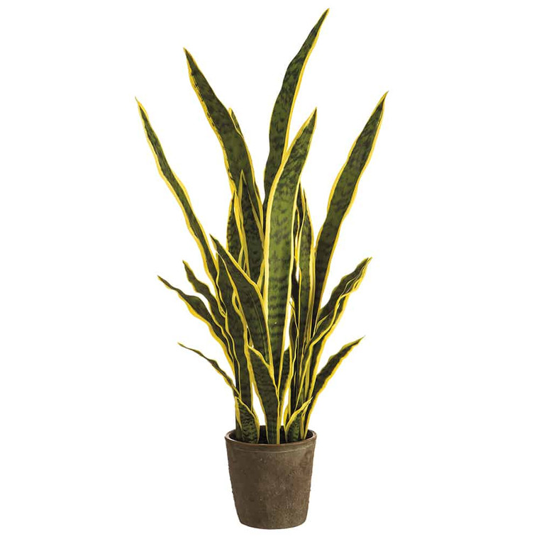 37.5" Sansevieria Plant In Cement Pot Variegated (Pack Of 2) LPS827-VG By Silk Flower