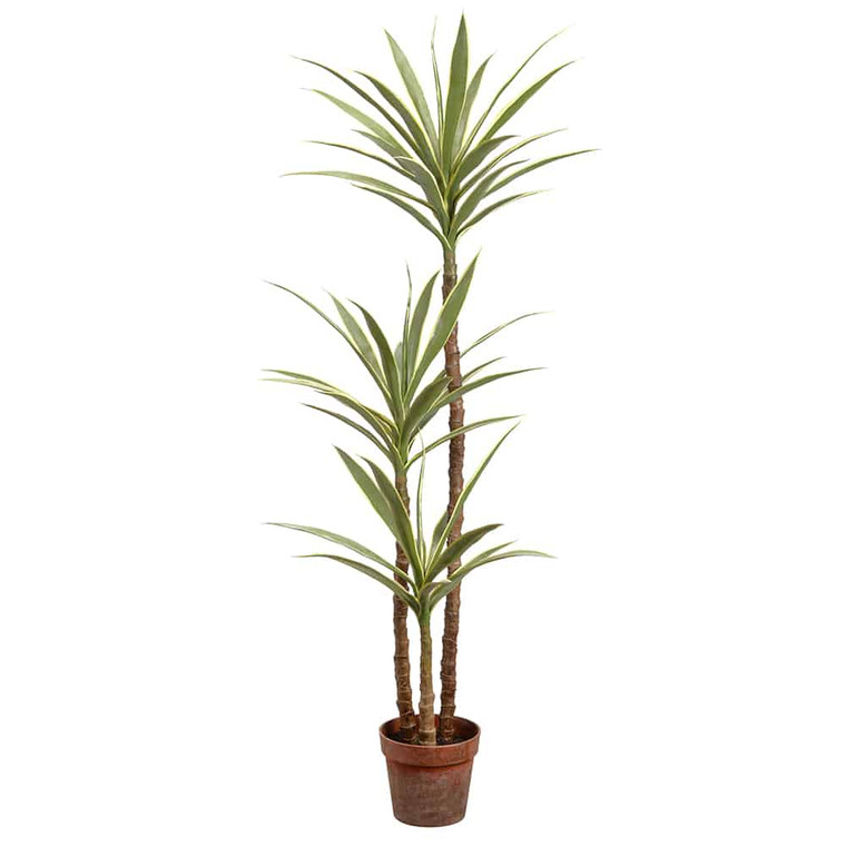 59" Yucca Tree In Plastic Nursery Pot Variegated (Pack Of 2) LPY461-VG By Silk Flower