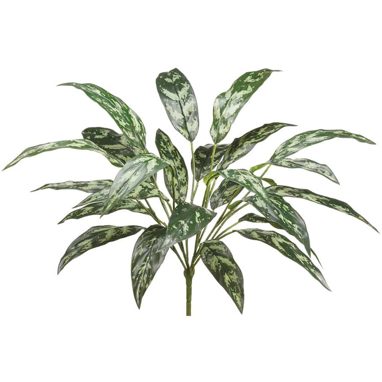 28" Eva Silver Queen Plant X8 Dark Green (Pack Of 6) PPS008-GR/DK By Silk Flower