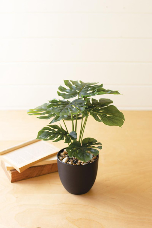 Artificial Monstera Plant In A Plastic Pot Small CNL1330 By Kalalou
