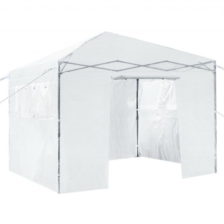 Greenhouse Outdoor Mini Walk-In Plant Portable Garden Greenhouse-White GT3562WH