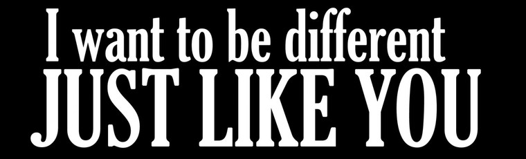 I Want To Be Different, Just Like You Motorcycle Helmet Sticker 540 By Nuorder