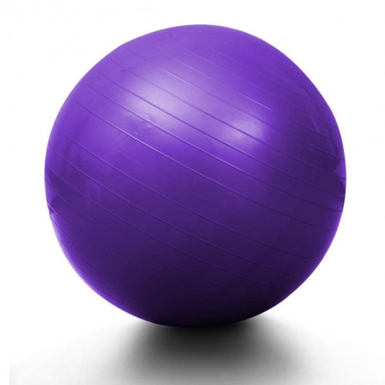 25" Fitness Pilates Balance Yoga Ball W/ Air Pump-Silver SP33132SL