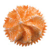 Ultimate Baker Orange Sanding Sugar