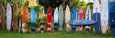 surfboard-fence.jpg surfboard-fence.jpg