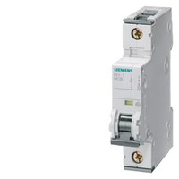 Siemens 5SY7110-6KK13