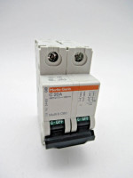 Merlin Gerin 24452 C20A