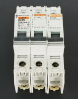 Merlin Gerin 60114 , 60110 , 60111 Used Surplus