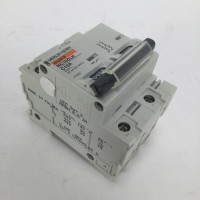 Merlin Gerin NC100LH