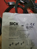 Sick GSE6-P1111