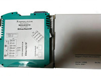 Pepperl EIG310