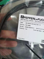 Pepperl ML100-8-H-250-BU