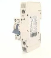 Allen Bradley 1489-A1C100