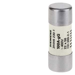 Siemens 3NW6217-1