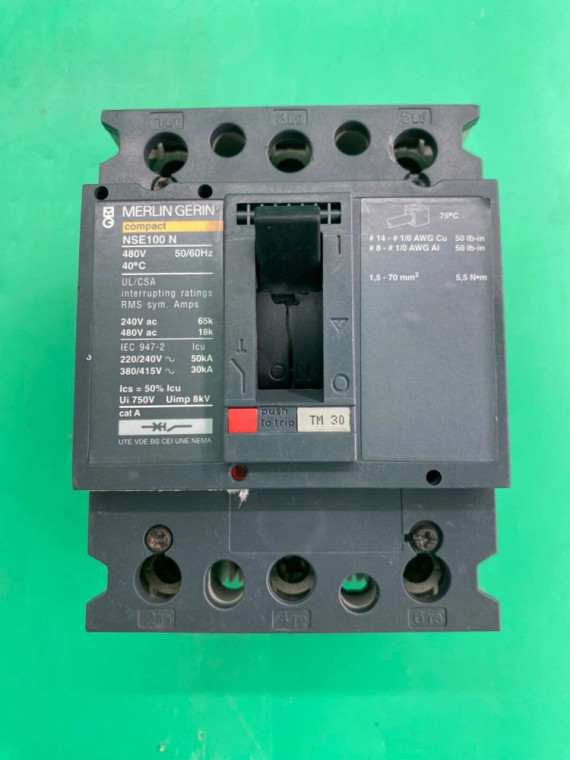 Merlin Gerin NSE100N-TM30 (S)