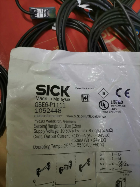 Sick GSE6-P1111