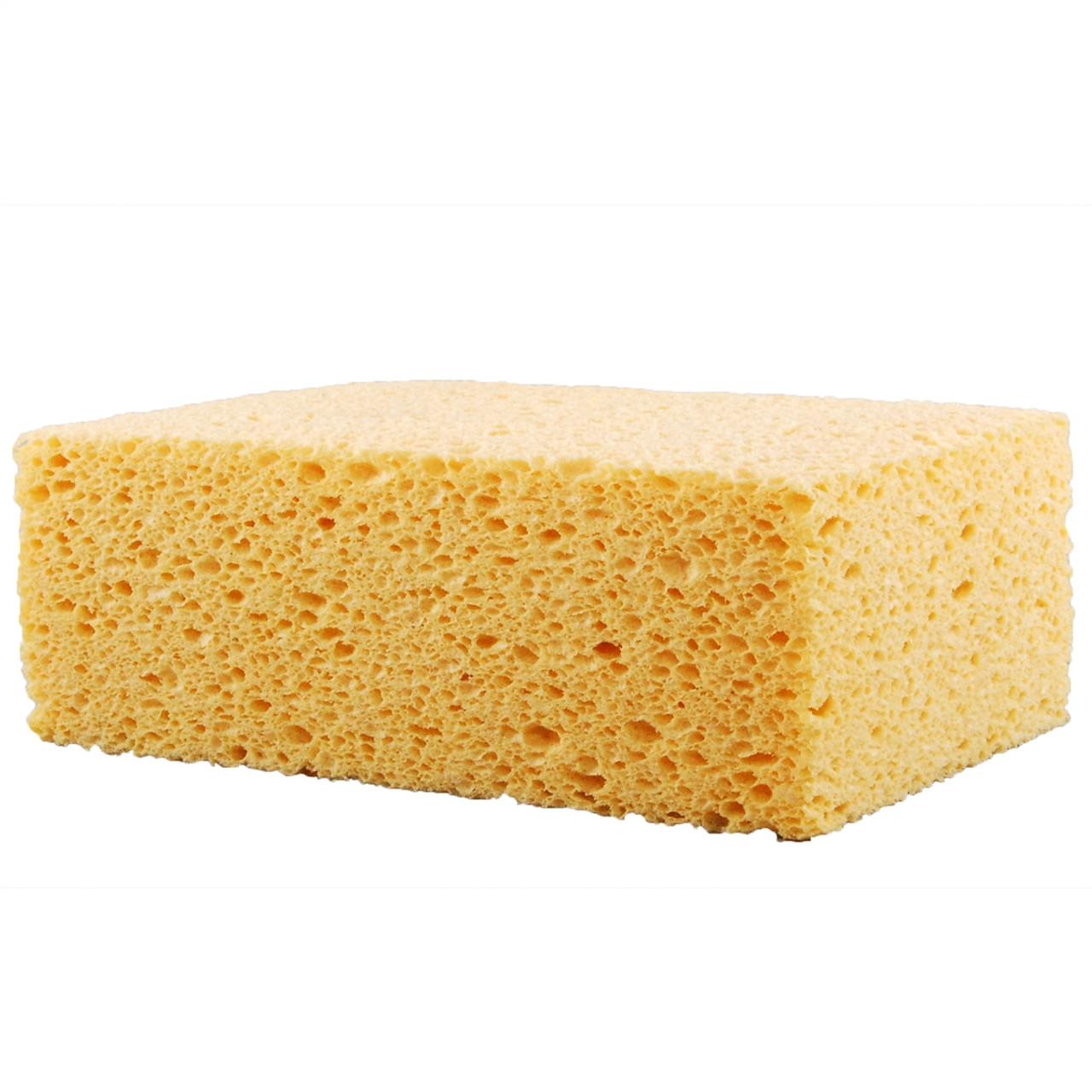 Sponges