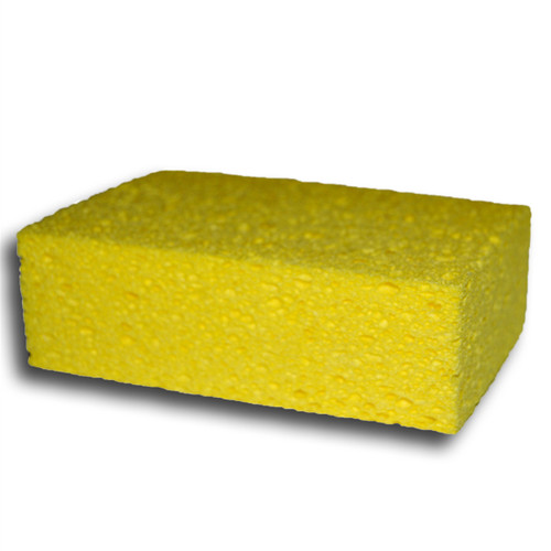 Sponges