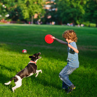 Are Dog Parks Safe?