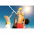 Community Volleyball Net