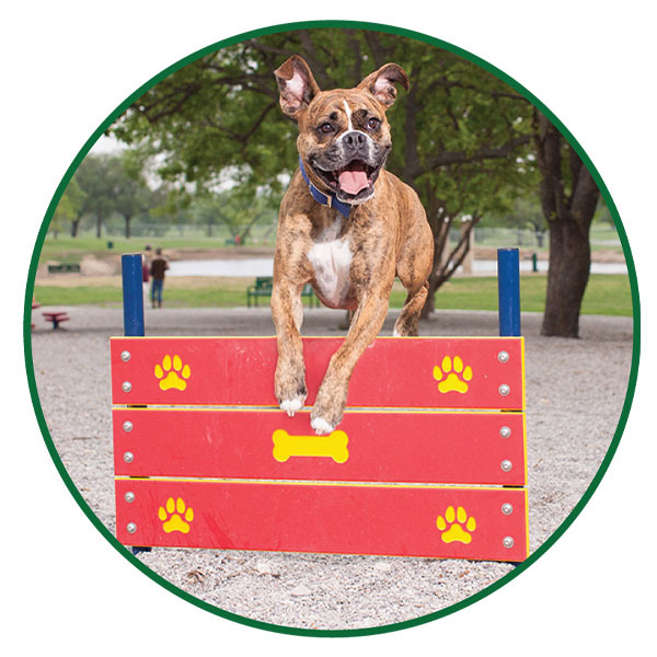 Safe to use Zero Waste USA® Odor Eliminator in Dog Parks