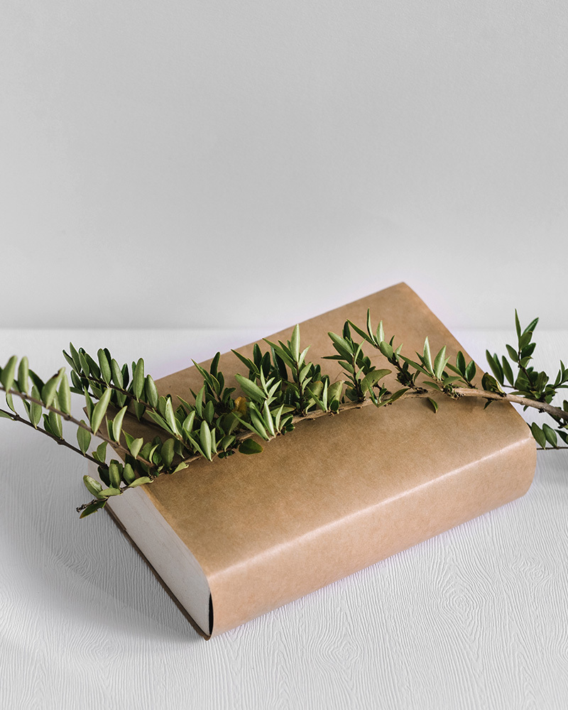 Diccionario de nombres en Farmacia Las Canteras, en Puerto Real, Cádiz