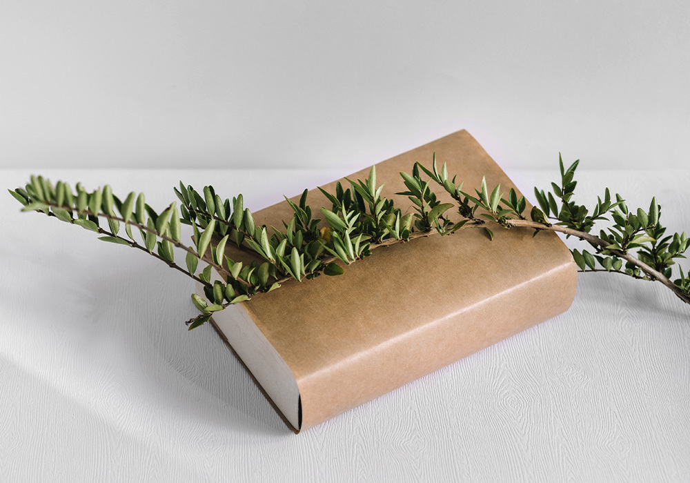 Diccionario de nombres en Farmacia Las Canteras, en Puerto Real, Cádiz