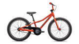 RIPROCK COASTER 20 - 2024 RIPROCK COASTER 20 - 2024