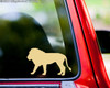 LION Vinyl Sticker Big Cat Africa - Die Cut Decal