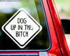 DOG UP IN THIS BITCH Vinyl Sticker - Puppy Dog - Die Cut Decal