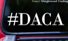 Two (2) #DACA 5" x 1" WHITE Vinyl Decal Stickers - Deferred Action for Childhood Arrivals - Dreamers