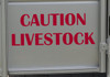 CAUTION LIVESTOCK Vinyl Decal - Cattle Horse Trailer - Die Cut Sticker