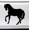 Horse Vinyl Sticker - Equine Mare Foal Pony Colt Filly Stallion - Die Cut Decal