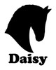 Horse Head -V5- with Personalized Name Vinyl Decal Sticker - Equestrian Farm Riding Dressage Equine Profile Silhouette