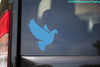 DOVE Vinyl Decal Sticker -V2- Pigeon Peace Love Mother Mary Christian Ishtar